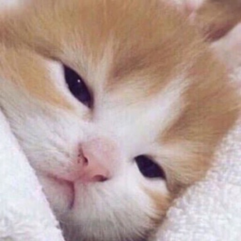 Meet your Posher, Danni